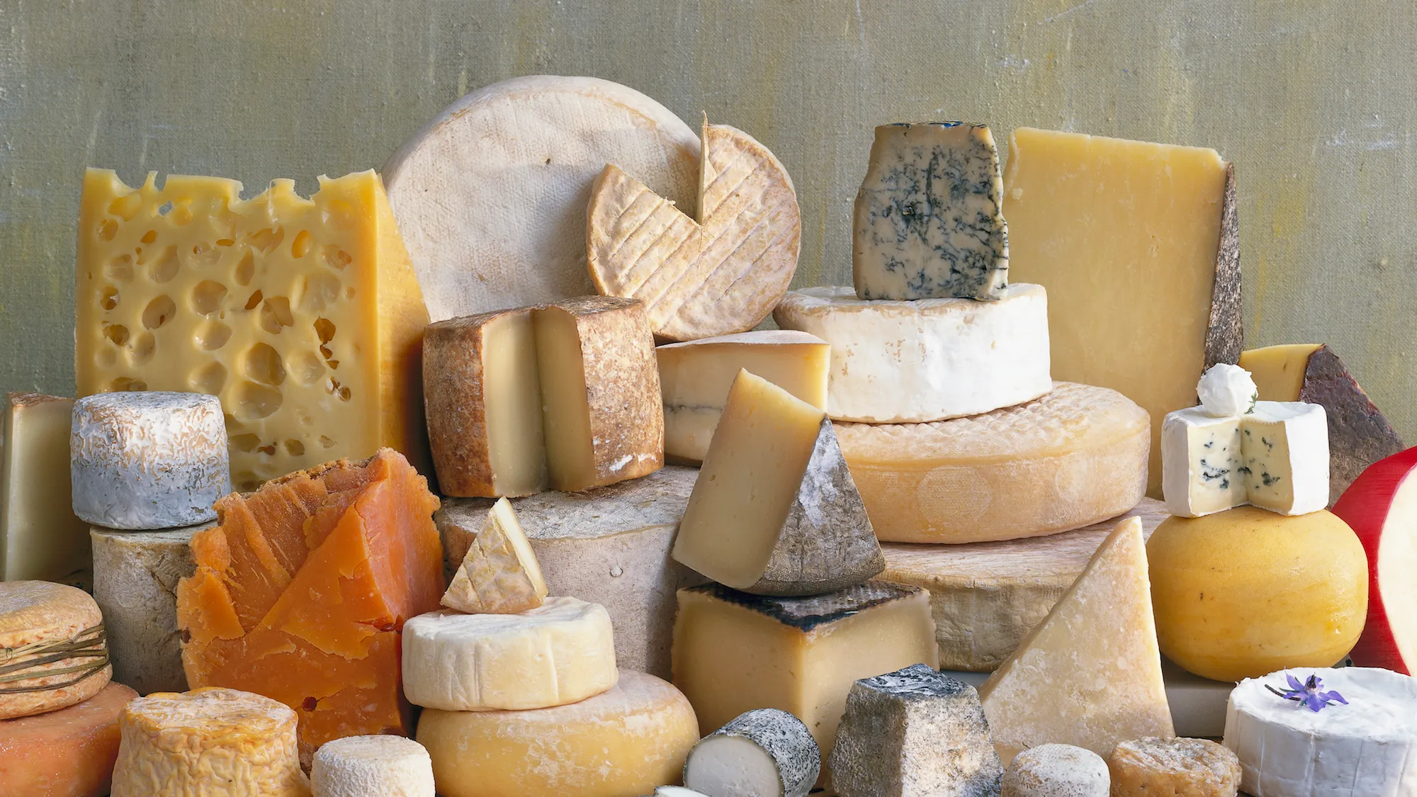 Best Types of Cheese You Must Know