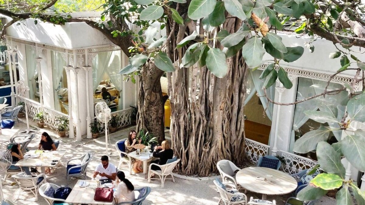 Restaurants in Mehrauli Near Qutub Minar